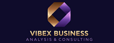 VIBEX BUSINESS ANALYSIS   CONSULTING